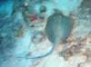 dsc05364_small.jpg