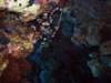 dsc05366_small.jpg