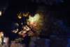 dsc05368_small.jpg