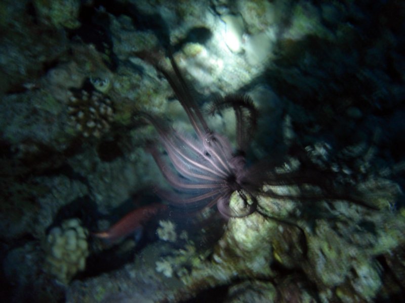 dsc05374.jpg