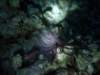 dsc05374_small.jpg