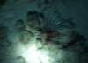 dsc05377_small.jpg