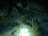 dsc05379_small.jpg