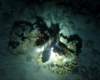 dsc05383_small.jpg