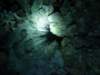 dsc05384_small.jpg