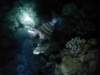 dsc05388_small.jpg