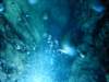 dsc05395_small.jpg