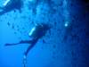 dsc05397_small.jpg
