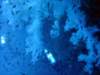 dsc05398_small.jpg