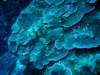 dsc05399_small.jpg