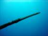 dsc05400_small.jpg
