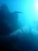 dsc05403_small.jpg