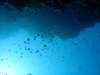 dsc05406_small.jpg