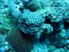 dsc05410_small.jpg
