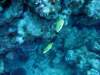dsc05411_small.jpg