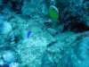 dsc05413_small.jpg