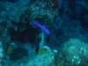 dsc05414_small.jpg