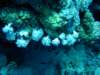 dsc05415_small.jpg