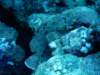 dsc05416_small.jpg