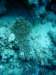 dsc05417_small.jpg