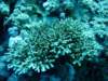 dsc05418_small.jpg