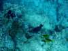 dsc05419_small.jpg