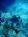 dsc05420_small.jpg