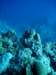 dsc05421_small.jpg