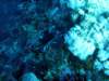 dsc05422_small.jpg