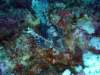 dsc05423_small.jpg