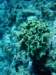 dsc05425_small.jpg