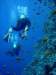 dsc05426_small.jpg