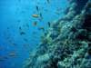 dsc05427_small.jpg