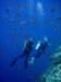dsc05428_small.jpg