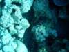 dsc05430_small.jpg