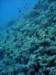 dsc05432_small.jpg
