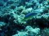 dsc05433_small.jpg