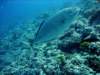 dsc05434_small.jpg