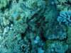 dsc05435_small.jpg