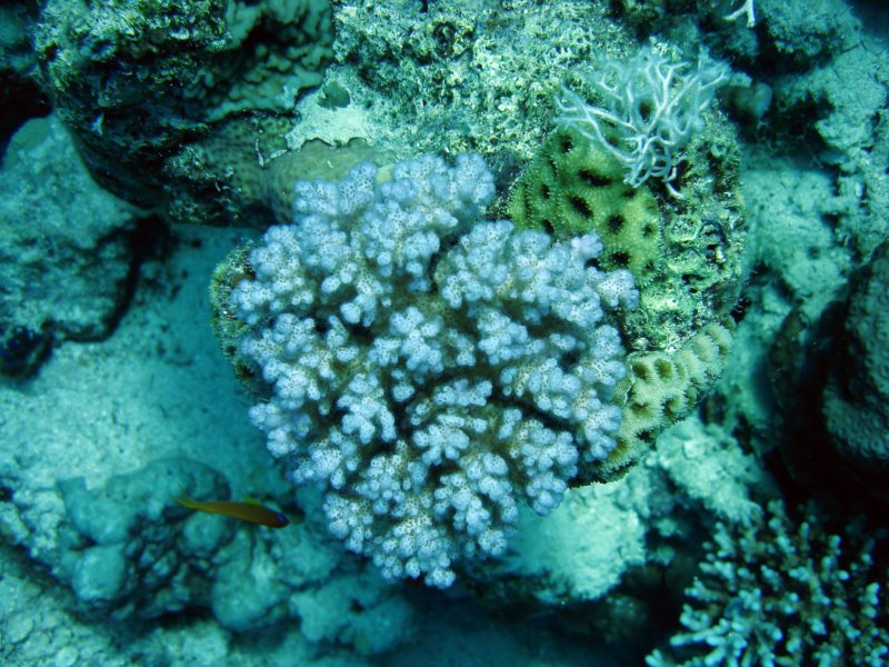 dsc05436.jpg