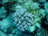 dsc05436_small.jpg