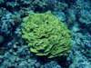 dsc05437_small.jpg