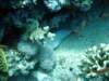dsc05438_small.jpg