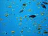 dsc05440_small.jpg