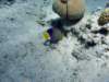 dsc05446_small.jpg
