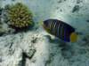 dsc05447_small.jpg