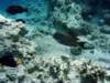 dsc05448_small.jpg