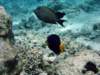 dsc05449_small.jpg
