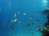 dsc05450_small.jpg