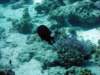 dsc05451_small.jpg